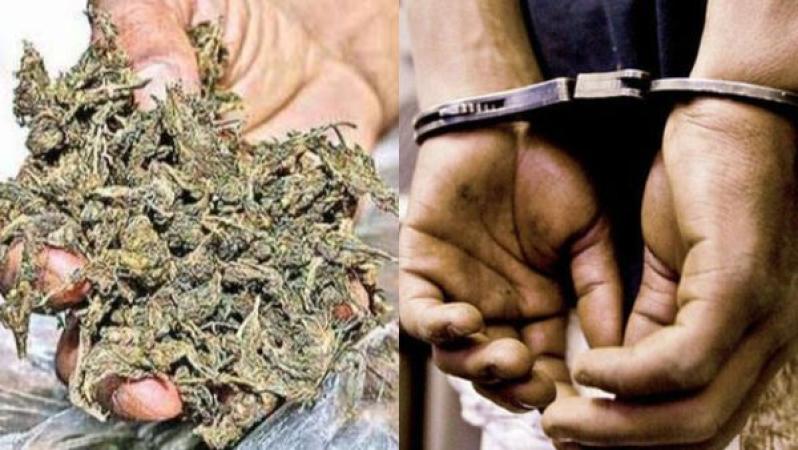 Vidarbha Crime Branch Nabs 2 with 28.35 kg Ganja at Badnera Station 